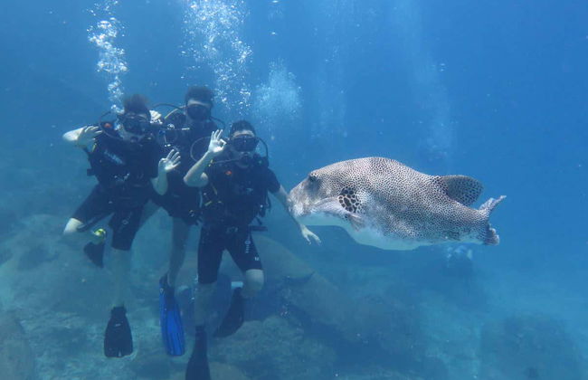 Immersione a Koh Tao - Foto 3