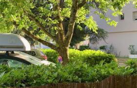 Studio avec parking privé en hyper centre - Foto 11