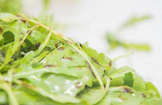 Kaffeehaus Blaslhöhe - Foto 56