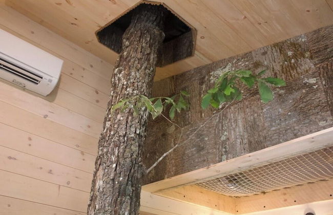 Tuxedo Falls - Foto 65