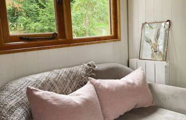 The Hereford Hut, Charming 1 bedroom Shepherds Hut - Foto 5