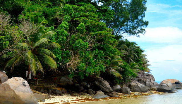 Excursión a la isla Moyenne + Snorkel y comida en el restaurante Jolly Roger