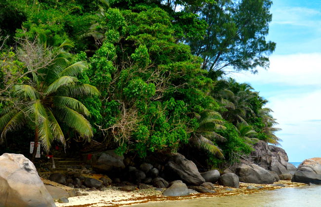 Excursión a la isla Moyenne + Snorkel y comida en el restaurante Jolly Roger - Foto 4