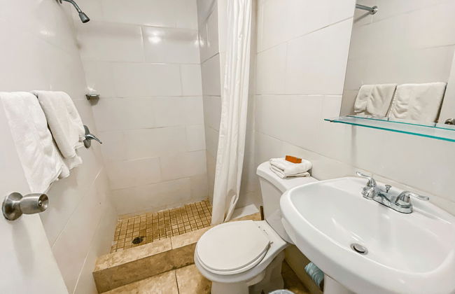 Gladiolas 2103 - Foto 9