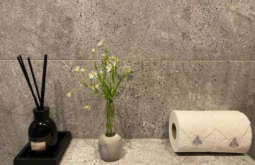 elements - Solina, z sauną - Foto 43