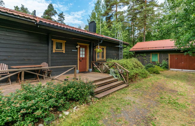 Metsä-iivari - Foto 23