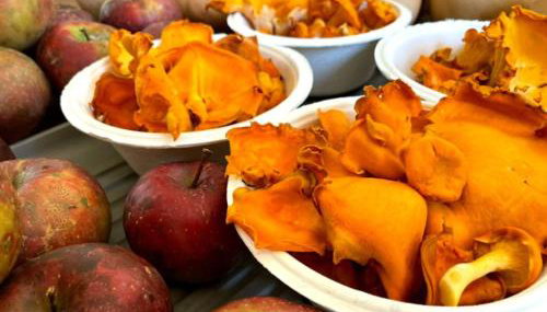 Cabin on Wheels • Cozy Forest and Farm Retreat - Foto 4, Other