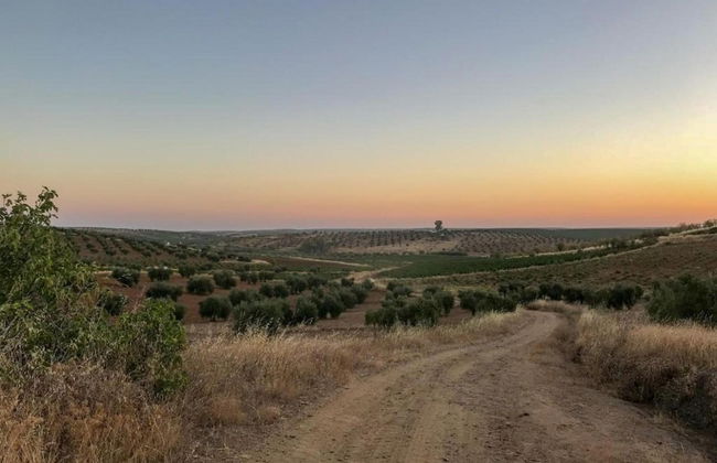 Cozy Villa in the Middle of the Achterhoek - Foto 25