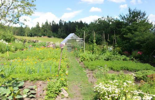 Sigmundenhof Schonach - Foto 27