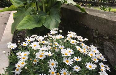 Casa di Aldo: una casa nel centro di Nervi. - Foto 28