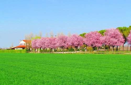 Agriturismo Le Cipressine - Foto 16
