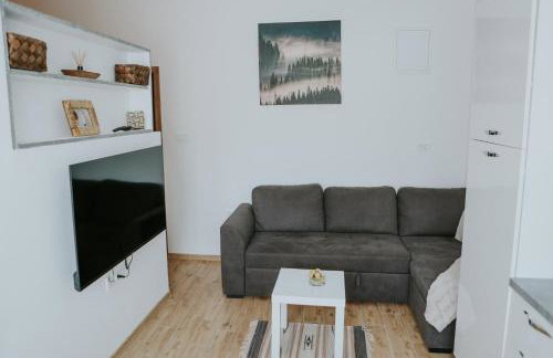 Apartman Nikola - Photo 44