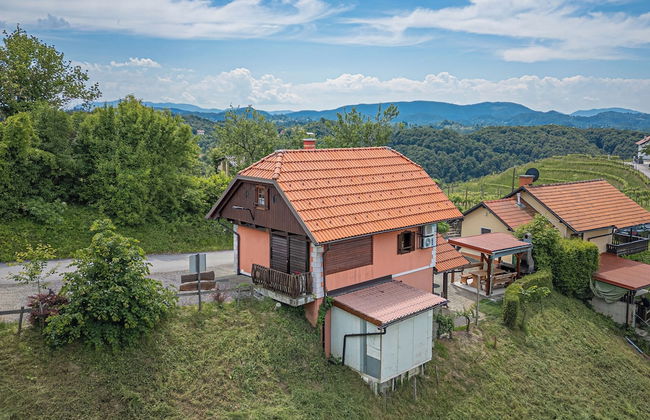 Vineyard Cottage Vesna Lake View - Foto 21