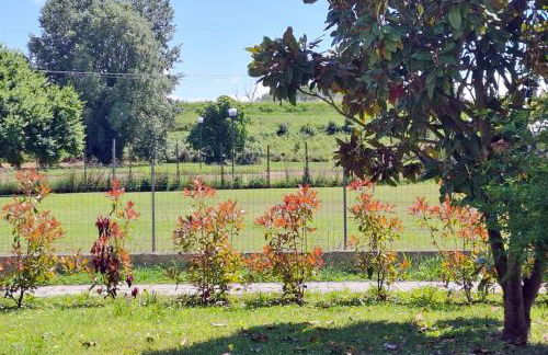 Affitto Breve Rovigo La Casa sul Grande Fiume Po di Nadine - Foto 17