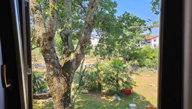 Villa Kučan - Foto 5