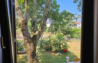 Villa Kučan - Foto 5