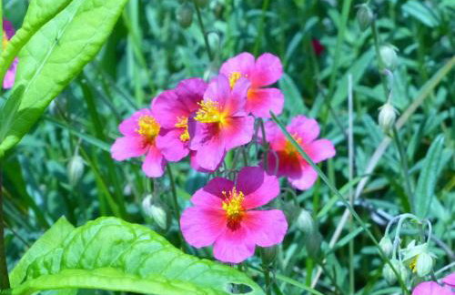 Apartment ApartmentmitAusblick by Interhome - Foto 23