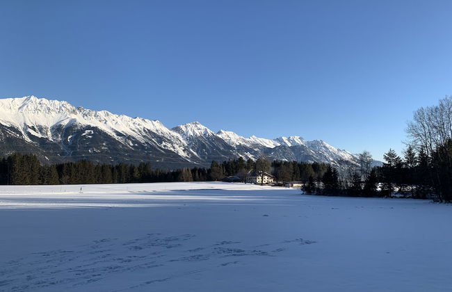 Waldchalet am Eichhof - Foto 12