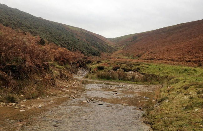 Relaxing Holidays in the Old Water Mill at Cwmiar - Photo 11