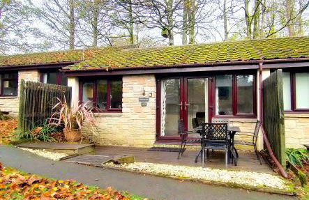 Woodland View - Families & Pets - Foto 1