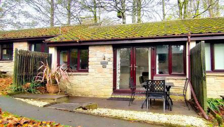 Woodland View - Families & Pets - Foto 1