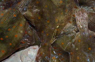 Duplex 2 pièces Port Cabourg - 2 à 4 personnes - Terrasse - Vue Port - Proche Plage - Foto 32