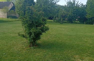 La Clematite d'Olt - Photo 6