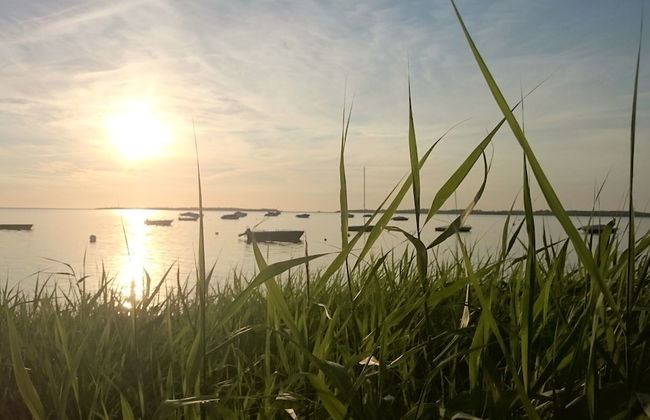 Ferienwohnung in der Nahe von Wismar - Foto 39