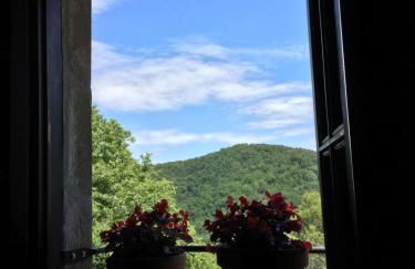 Mas Pardas - Photo 29