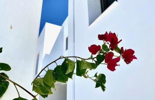 Gennadi Harmony Suites - 200 m from the sea - Foto 7