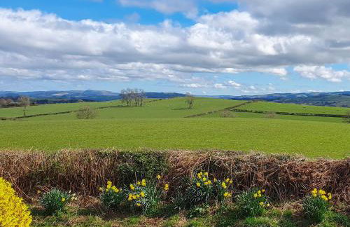 Green Lane Cottage - Foto 33