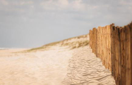 Flou de Pin - Foto 15