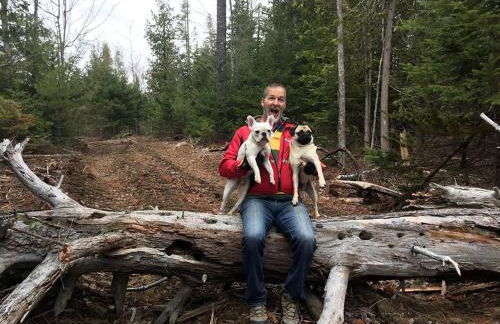 Charming Cabin Rental with Private Front Deck near Bangor, Maine - Foto 15