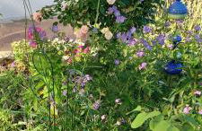 Ferienhaus am Rosengärtle - Black Forest - Forêt Noire - Foto 39