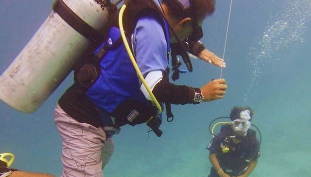 PADI Open Water Course - Foto 3