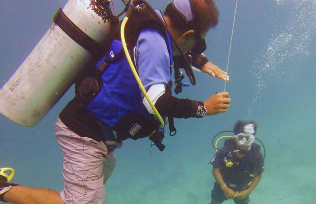 PADI Open Water Course - Photo 3