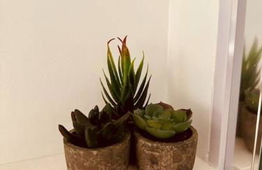 Willow Lodge - Foto 32