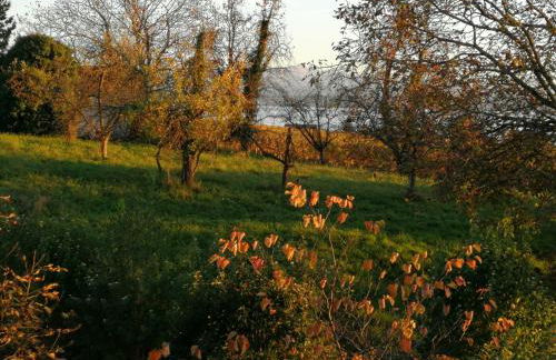 Haus Meersburg Garten - Foto 15
