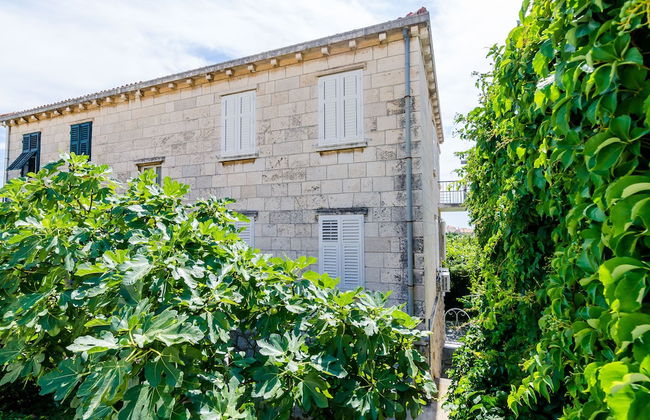 Apartment Kalea - Photo 33