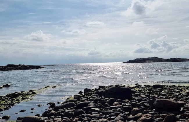 4 Star Holiday Home in Halmstad - Photo 41