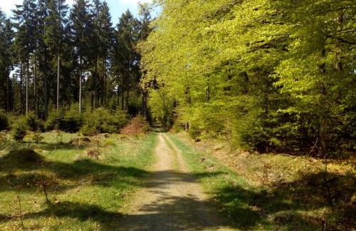 Mia und Michel im Sauerland - Foto 15