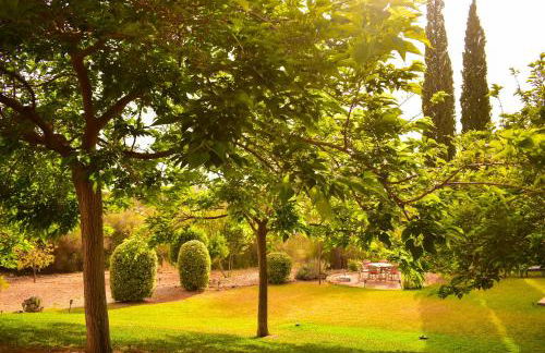 Finca Porto Cristo - Es Bosquet - Foto 50