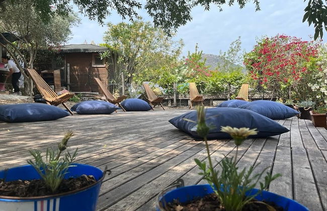 Palmira Selimiye - Foto 20