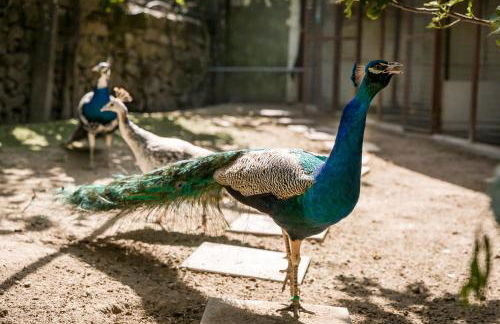 Casa de Ferreira Cinfães - Photo 28