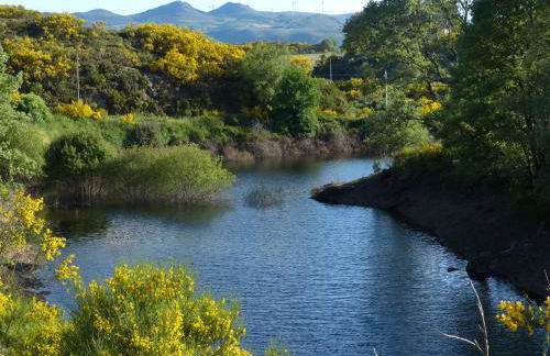 Casa do Alto Montalegre - Foto 60