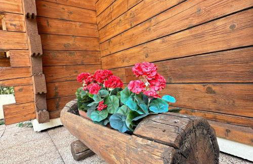 Chalet familial avec jardin et cheminée, animaux acceptés - FR-1-624-67 - Photo 16