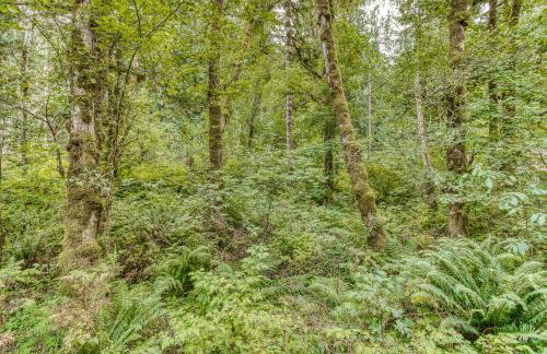 Creekside Cabin - Foto 6