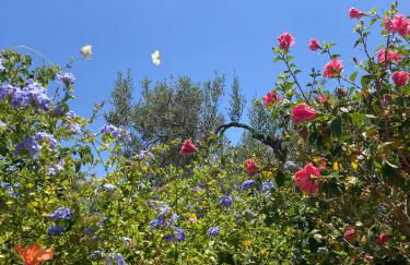 Casinha Serena by east ALgarve guest - Foto 24