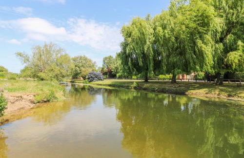 Kingfisher - Photo 39