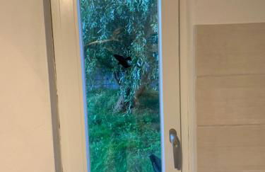 Ferienhaus in Lassan vor Usedom - Foto 28